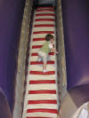 climbing up